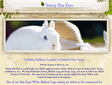 Tablet Screenshot of bunnyblueeyes.com